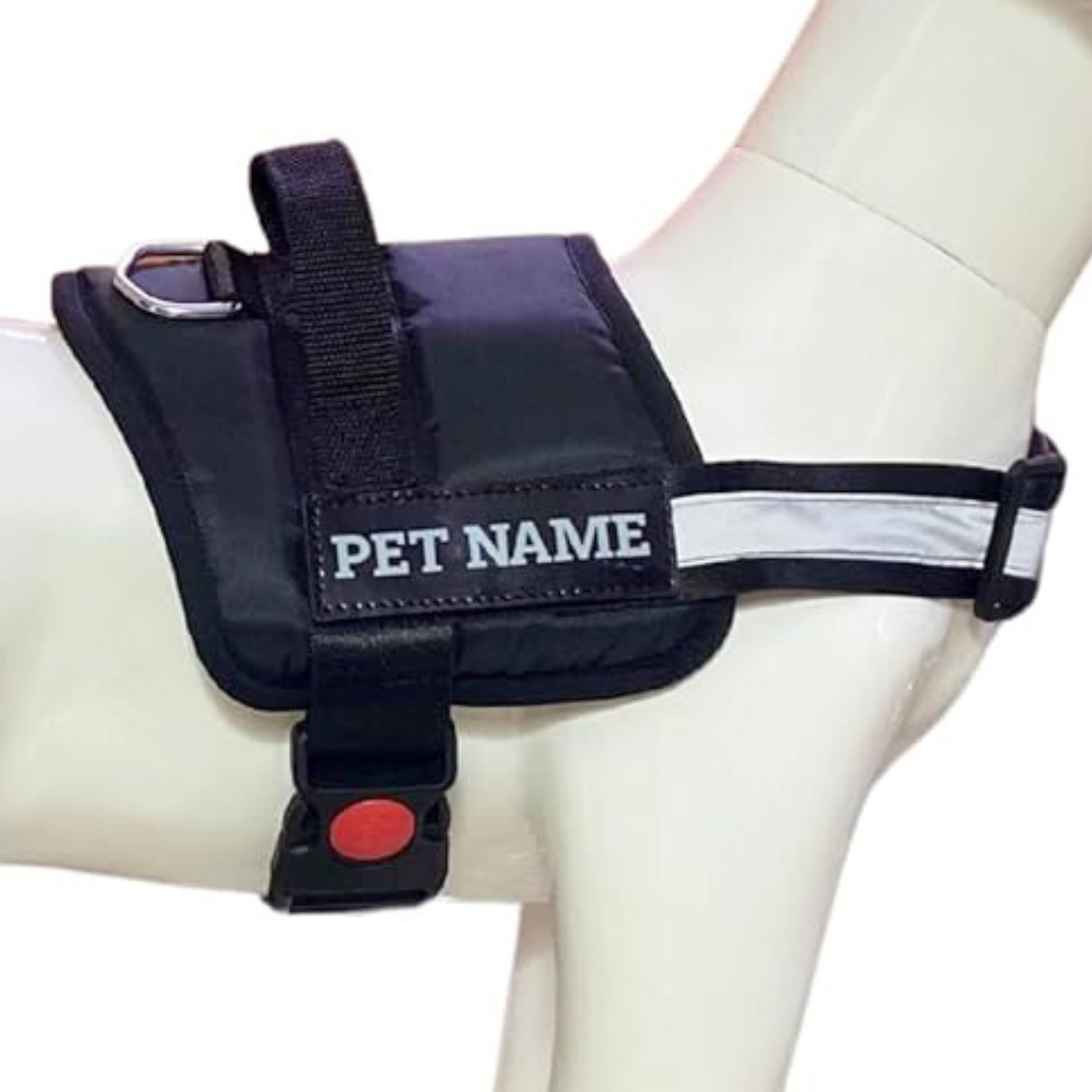See full amazon price history chart for Payton Perry Customized Dog Harness | Print Your Pet Name on Harness | Personalized Dog Harness | (XXL, Black) Recommended for 42+KG Pet Payton Perry Customized Dog Harness | Print Your Pet Name on Harness | Personalized Dog Harness | (XXL, Black) Recommended for 42+KG Pet (B0CS6CGLS2) Amazon Price History, Amazon Price Tracker