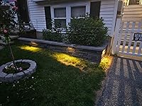 Review Image by peter vasconcelos peter vasconcelos