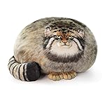 Sew Butiful Steppe Cat Plush 35cm/14inch Pallas Cat Stuffed Animal, Cute Plushies for Girls, Soft Plush Pillow, Throw Pillow Doll Decoration Doll Birthday Gift for Kids Boys Party