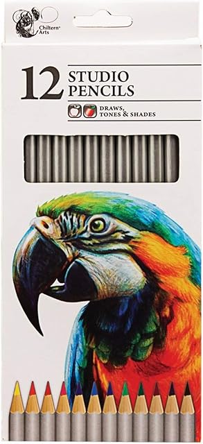 Pack Of 12 Studio Artist Sketching Pencils Draws Tones & Shades Assorted Colours