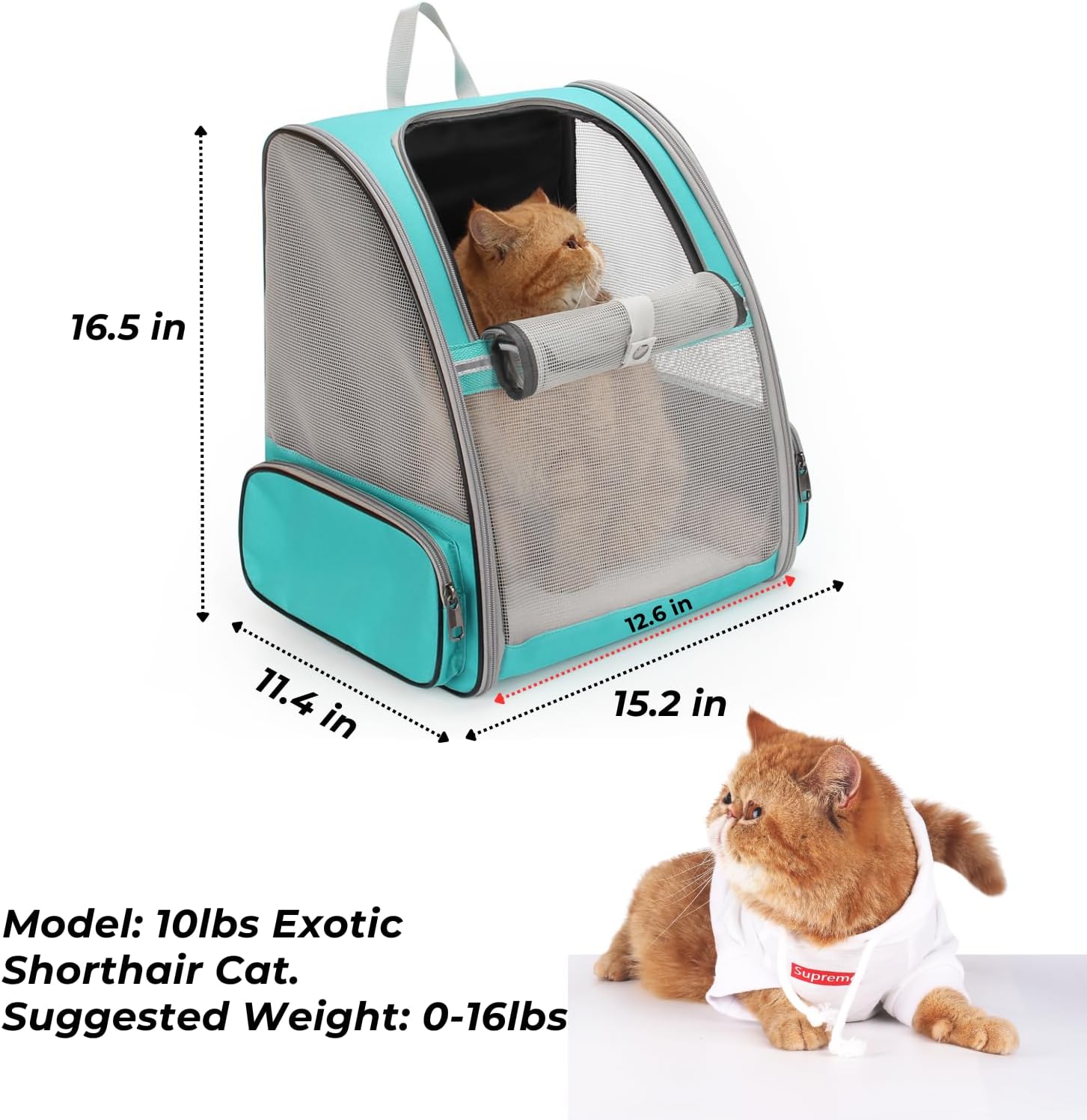 Lollimeow Cat Backpack Carrier, Ideal for Small Animals & Puppies, Airline Approved,Safe for Travel, Hiking, Vet Transport & Outdoor Use Fully Ventilated Design for Ultimate Comfort On-the-Go