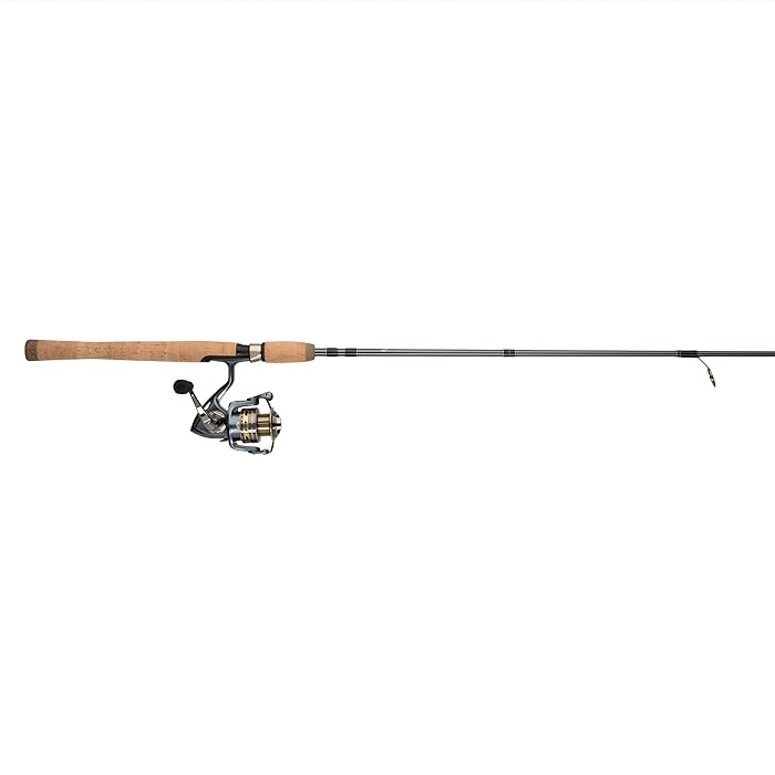 Buy Pflueger President Spinning Reel and Fishing Rod Combo (All Models
