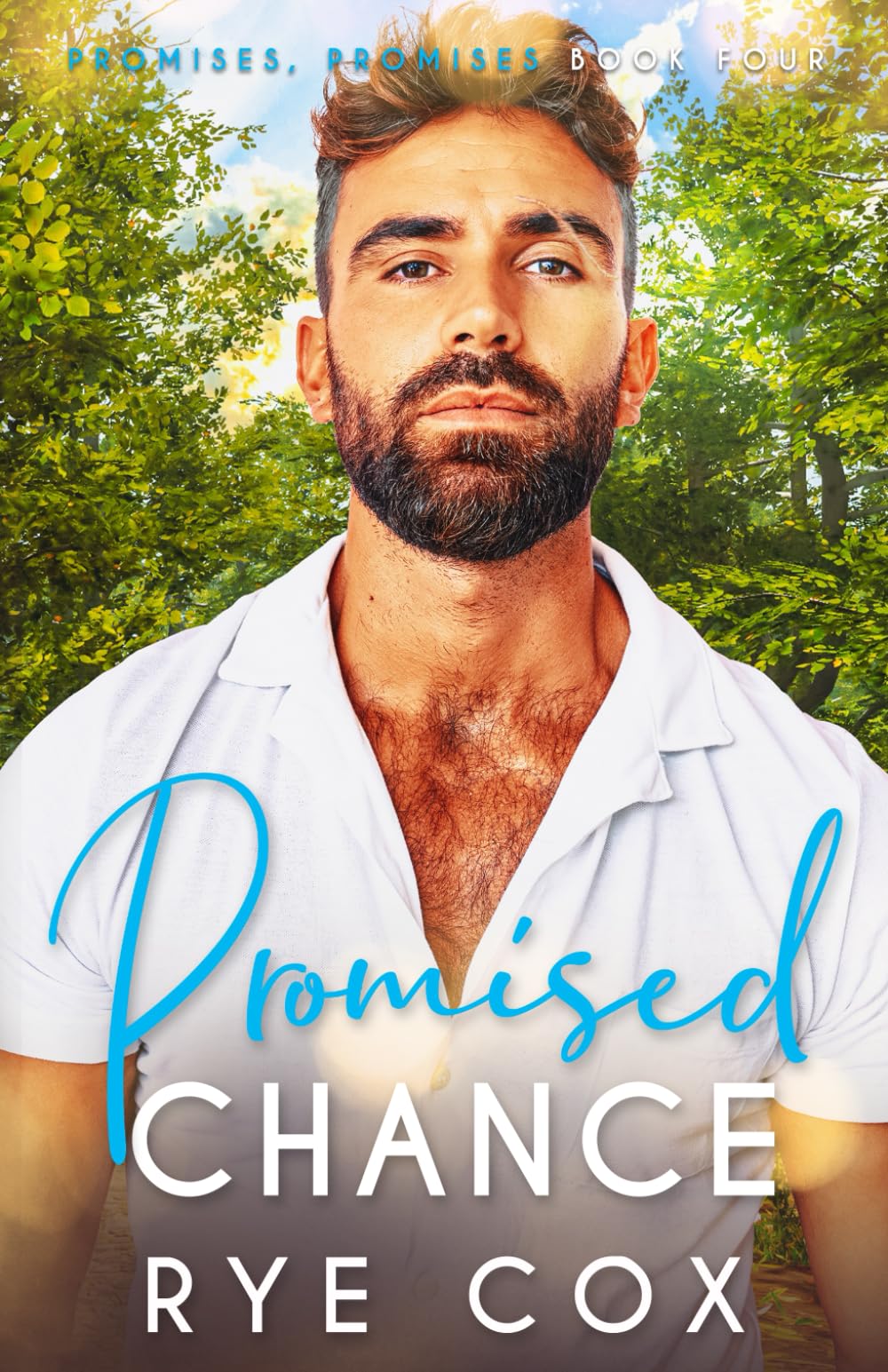 Promised Chance: A Grumpy/Sunshine Age Gap MM Romance (Promises, Promises)