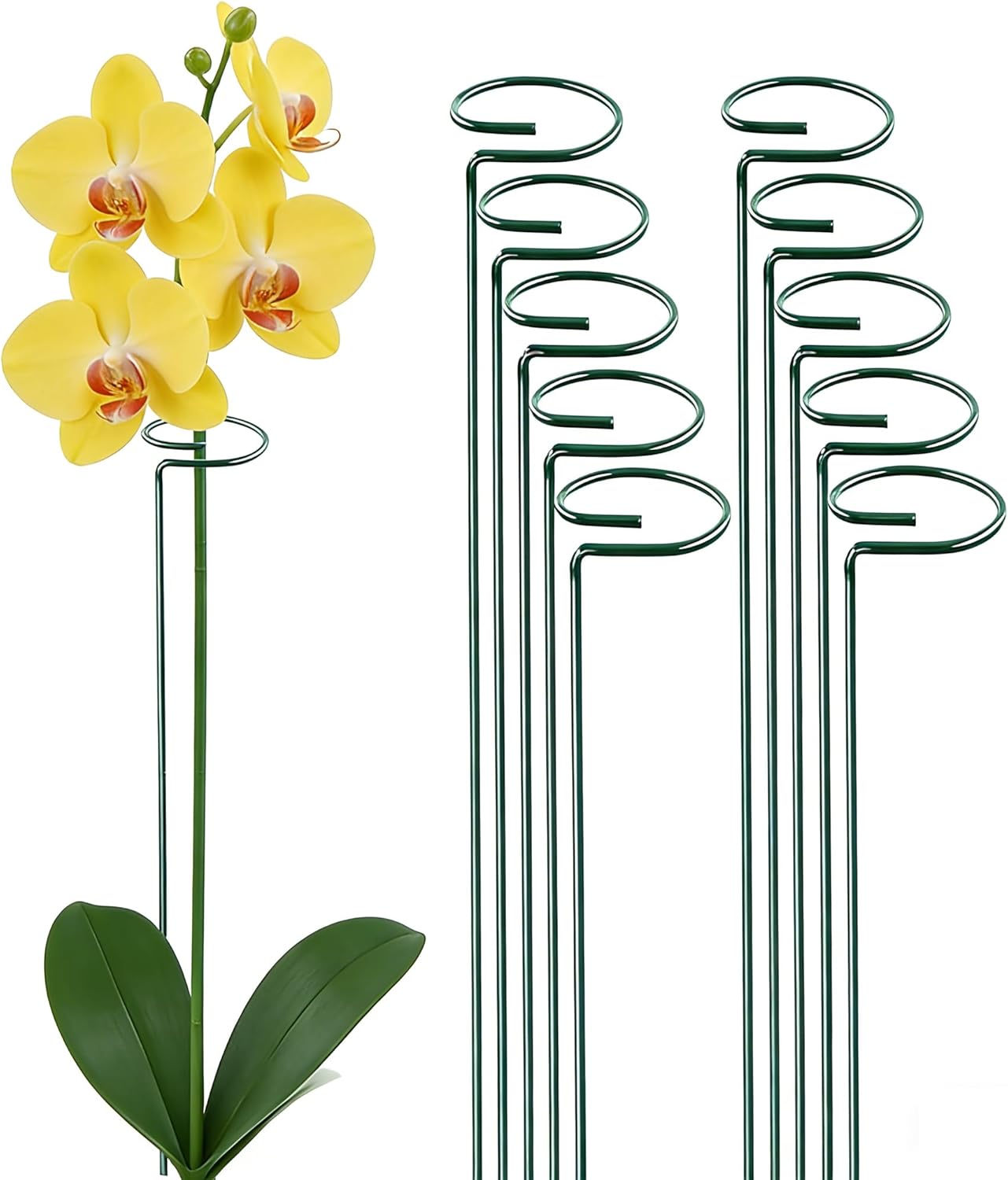 10 Pieces 36 inch Green Single Stem Plant Stakes Flower Support Rings,Gardening Planter Cages for Single Stem Flowers, Amaryllis,Peony, Lily,Narcissus