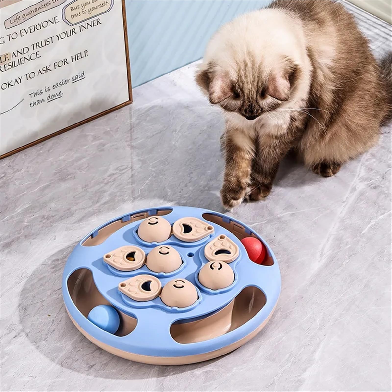 Giocattolo interattivo per gatti con mangiatoia lenta, dispenser interattivo di cibo per addestramento e gioco dei gatti (quadrato blu)