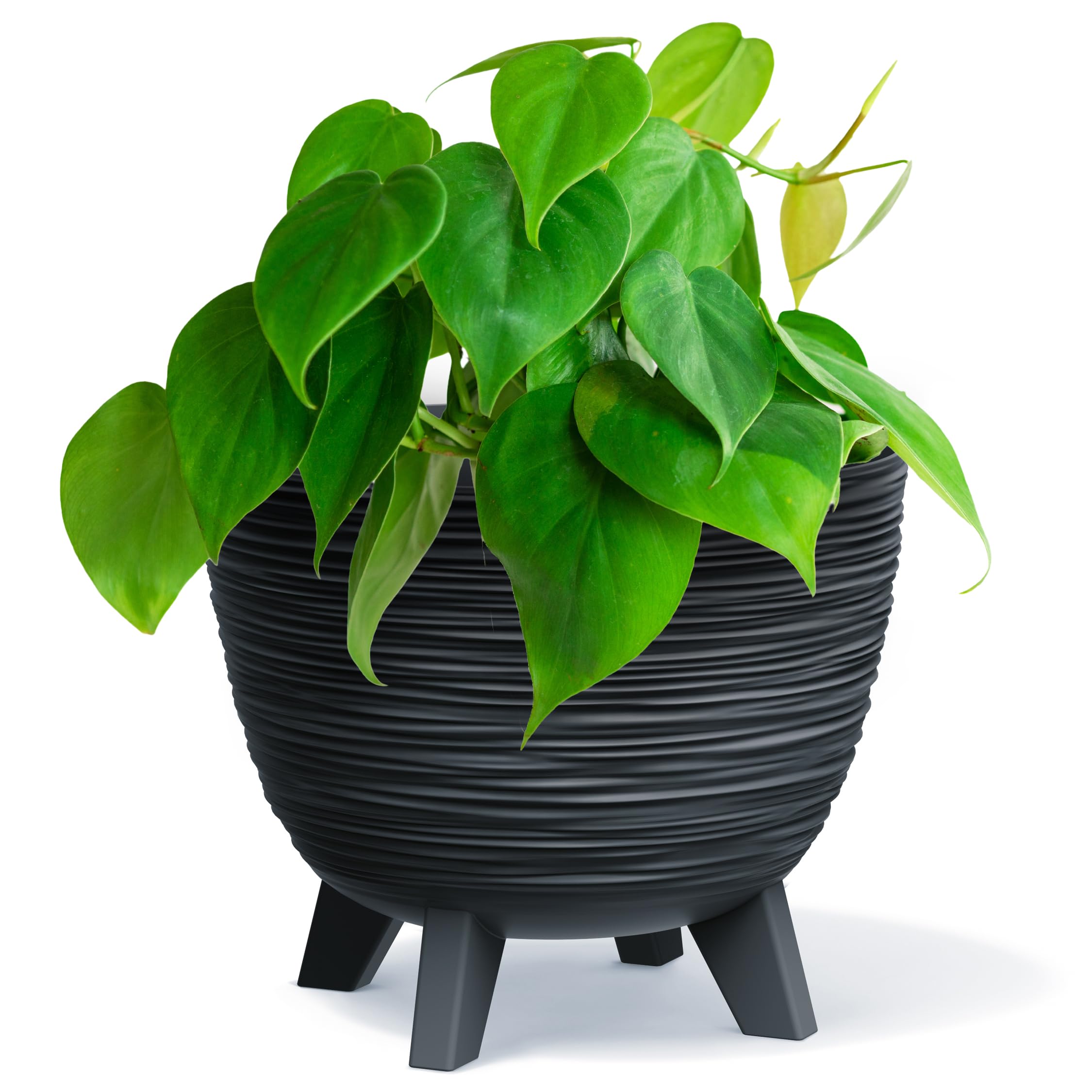 B2C Bowl Planter Plant Pot with Legs Oval Flower Modern Decorative FURU Indoor 4 Colours Modern Elegant Plqastic Matt Finish Textured Home Office Balcony Lightweight (Anthracite, 29cm)