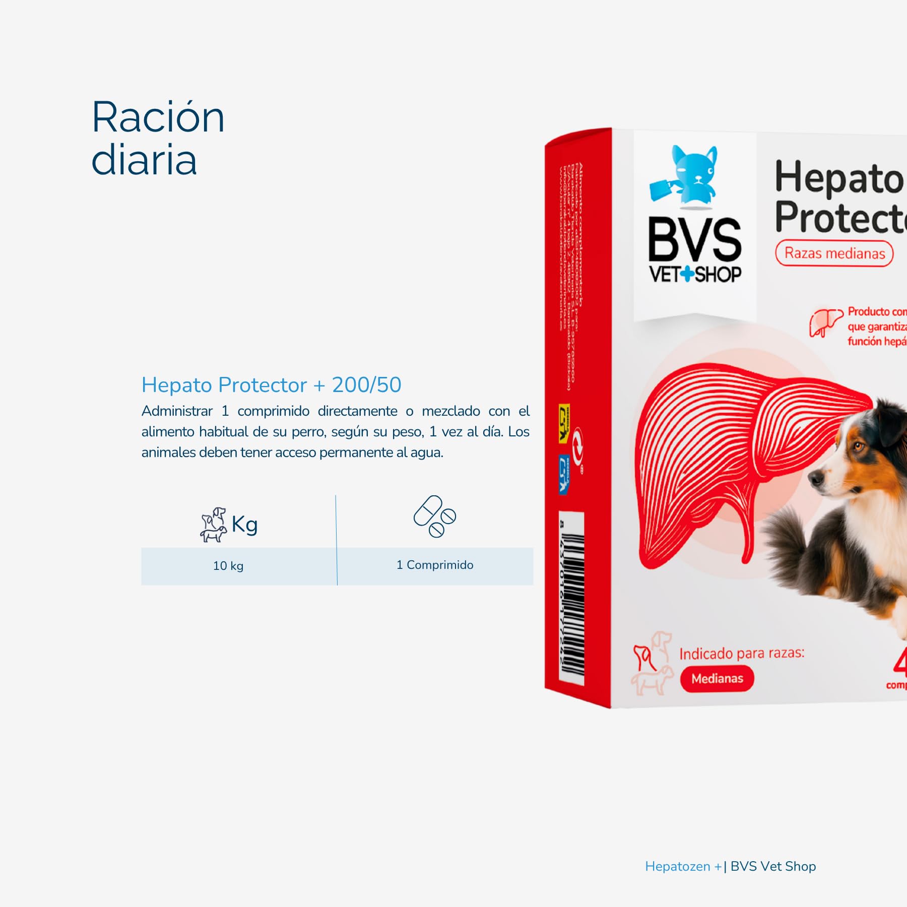 BVS Vet Shop | Hepato Protector Plus 40 Comprimidos para Perros y Gatos | Ayuda a la función hepática de tu Perro o Gato | 200/50 - Razas Medianas y Grandes
