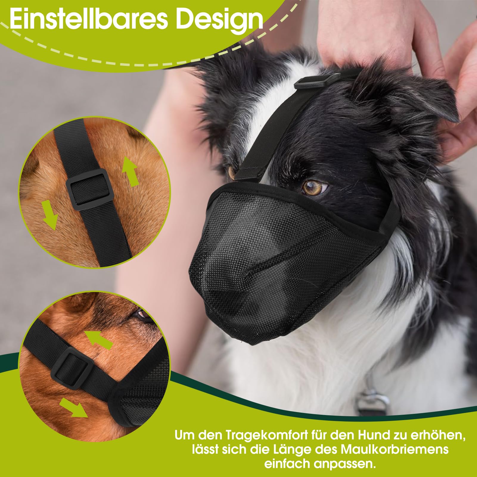 Morsa per Cani Medi, Traspirante, Regolabile con Design Mesh – Protezione da Cibo Tossico, per Passeggiate, Addestramento, Veterinario (L)