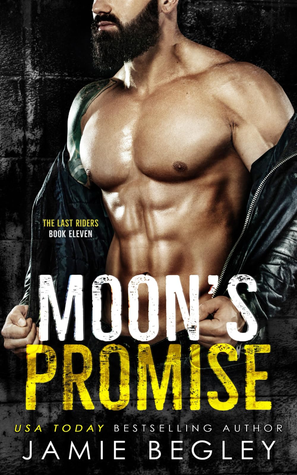 Moon's Promise: 11 (The Last Riders)