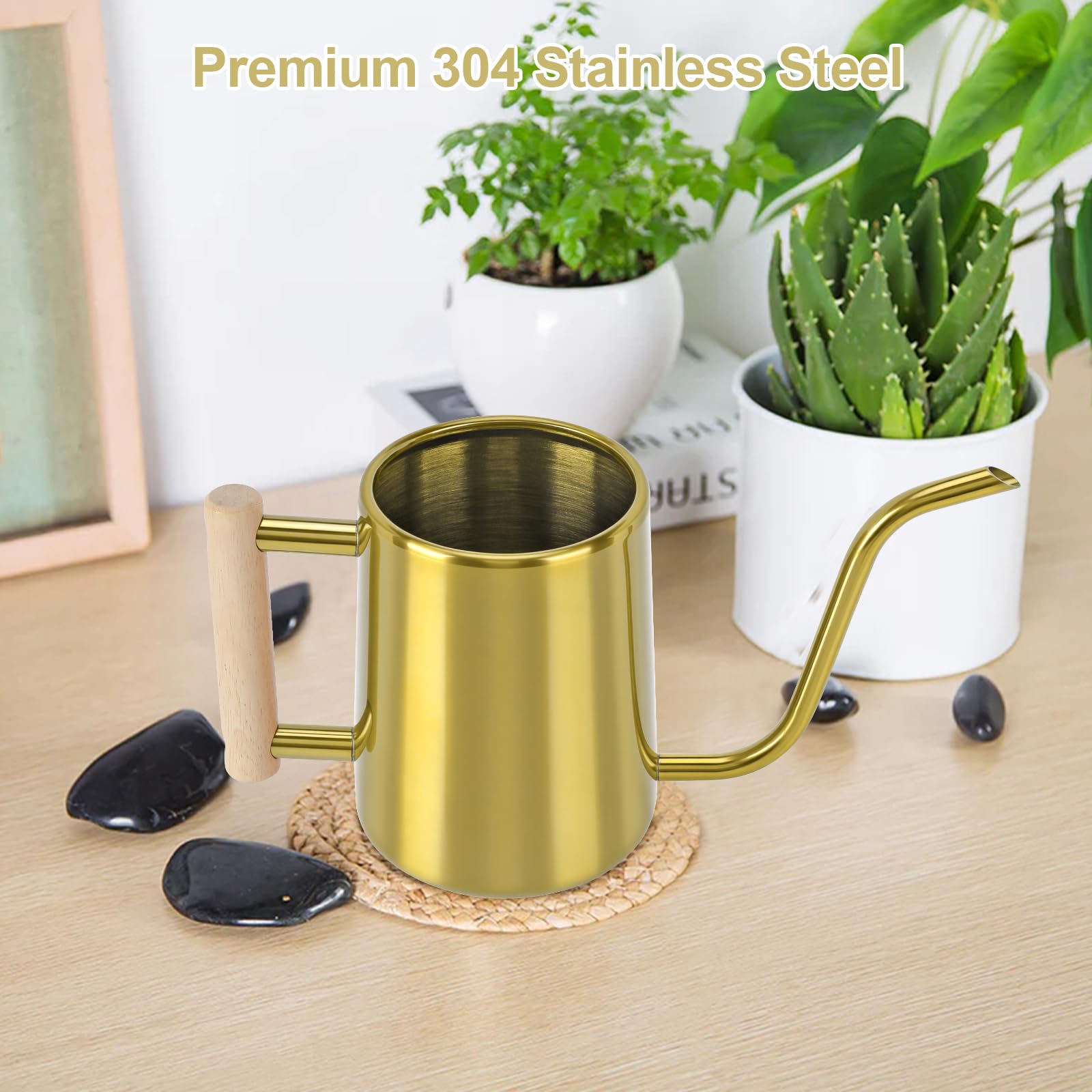 Watering Can Indoor Plants, 35 oz/1000 ml Metal Stainless Steel Watering Can Pot with Long Spout for Indoor House Plants Bonsai Outdoor Garden Flower Decorative (): Gold