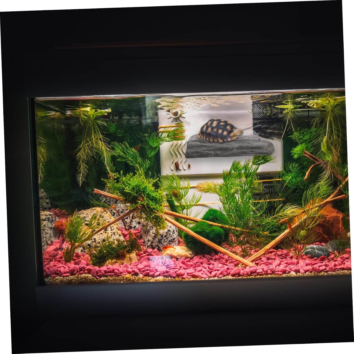 Resin Turtle Basking Platform with Suction Cup Dock for Aquariums