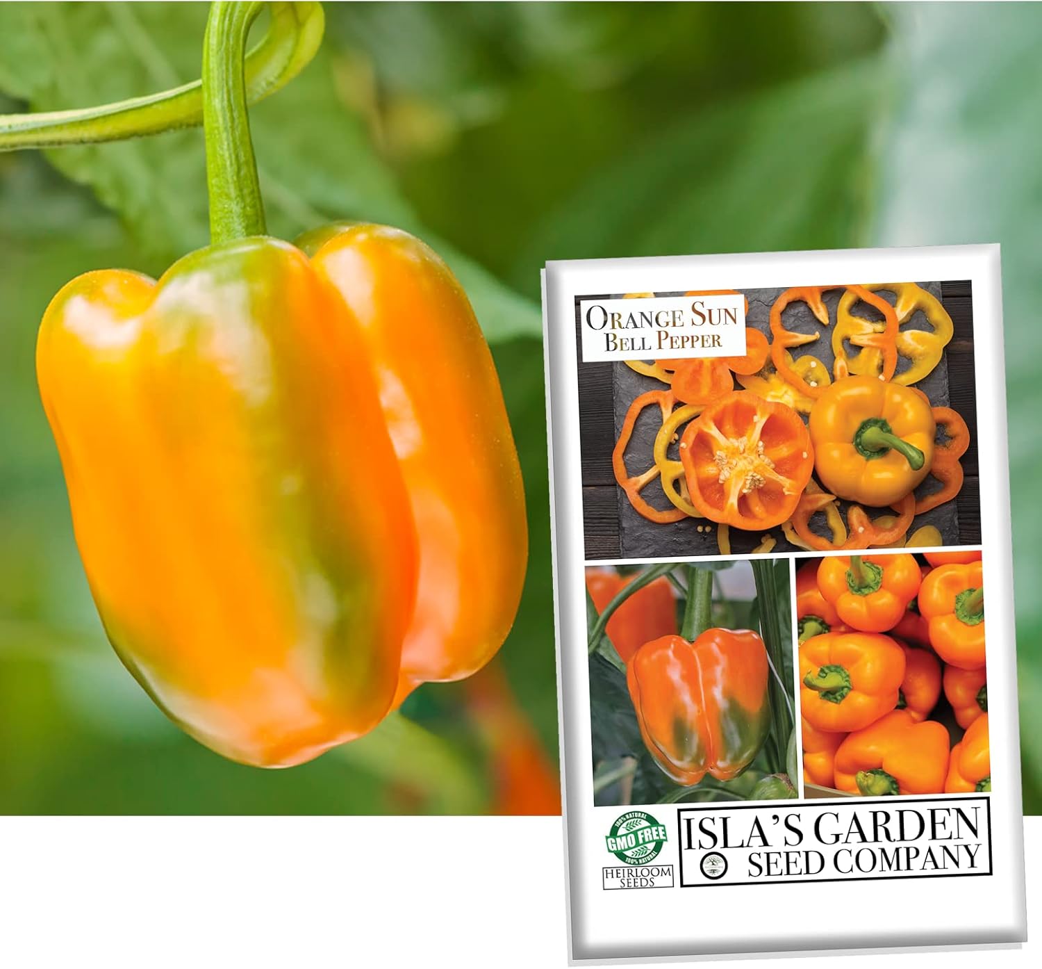 Difference In Color Of Bell Peppers Best Shops