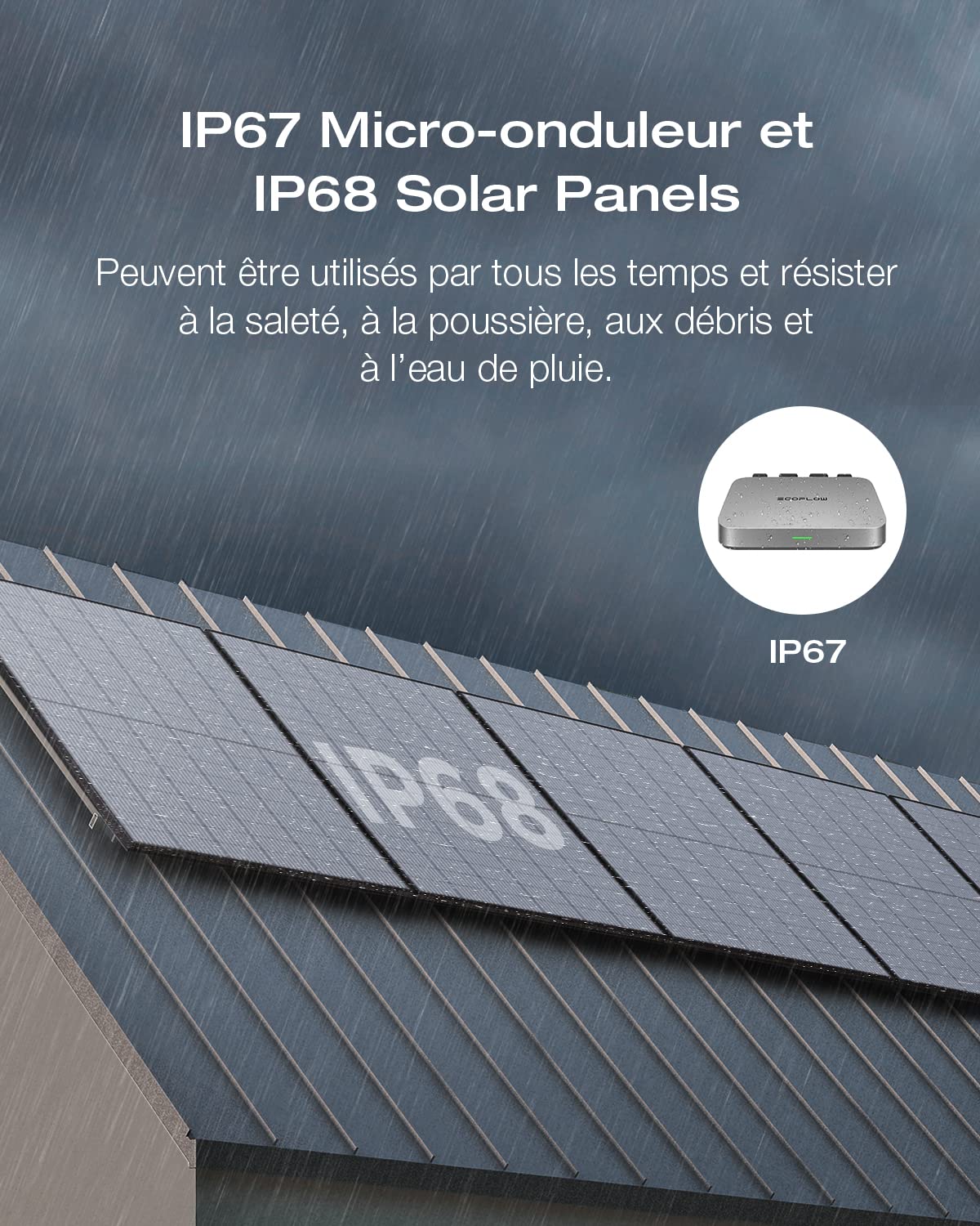 EcoFLow Micro-onduleur(800W) avec Panneau Solaire monocristallins 400W*2, câble de connecté de Delta Pro et Delta Pro Station électrique