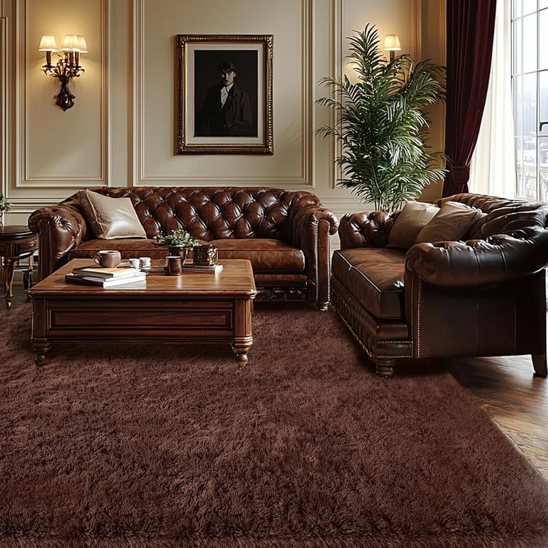 Regal Carpet Luxury Plush Shag Rugs for Living Room, Bedroom & Décor 4x6 Feet-image-41