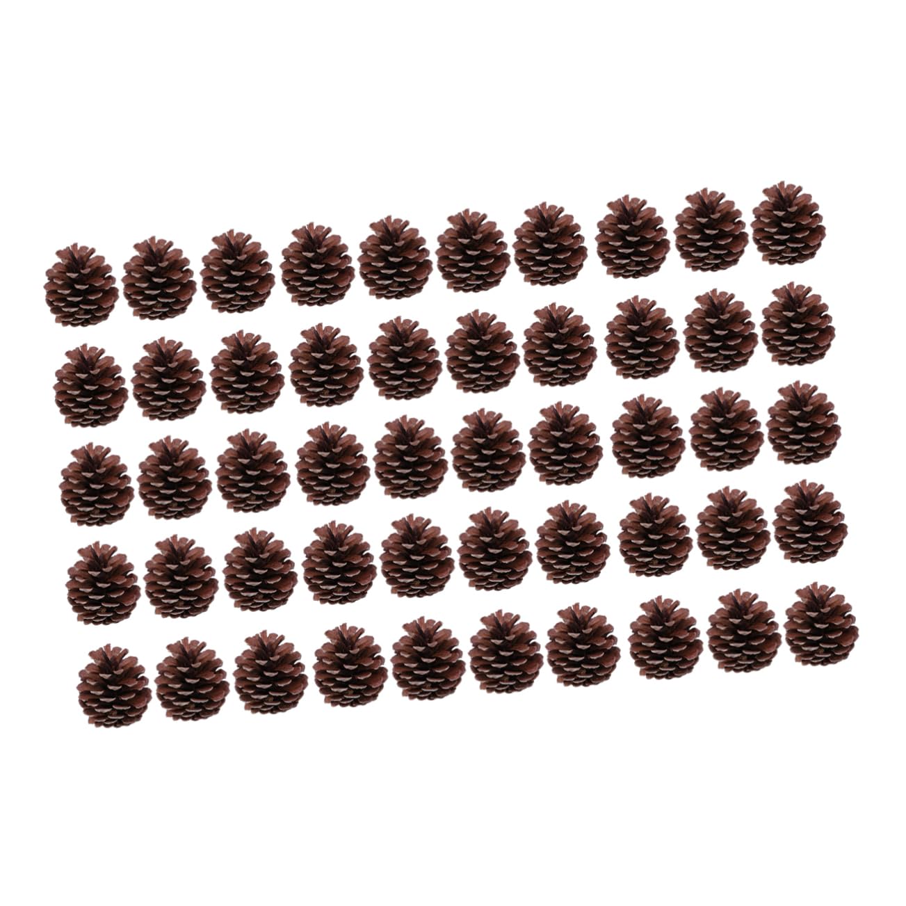 50 Stück Große Natürliche Tannenzapfen 6-8cm für Weihnachten