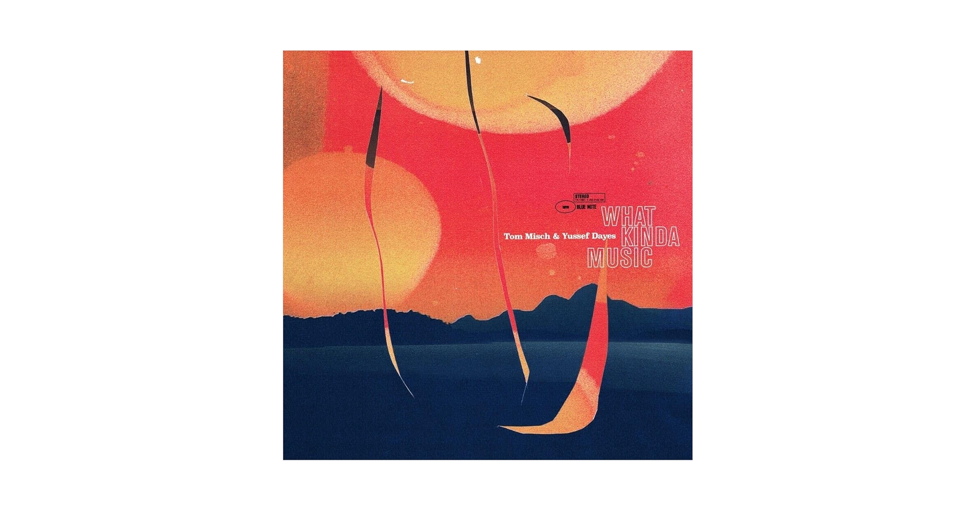 What Kinda Music Tom Misch 2LP deluxe仕様 Tom Misch/Yussef Dayes - What Kinda Music[2 LP] - Amazon.com