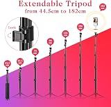 Ring Light with Tripod Stand & Phone Holder Tall 182 cm, 10 inch LED Ringlight Selfie Cicle Light Desk with Remote & Phone Clip for Camera, Video, Makeup, YouTube, TikTok - 4