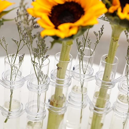 Miniatura 5 de DOITOOL Jarrón de tubo de ensayo, 8 piezas, tubo de ensayo de vidrio, terrario, florero de vidrio transparente, maceta decorativa de tubo de ensayo,