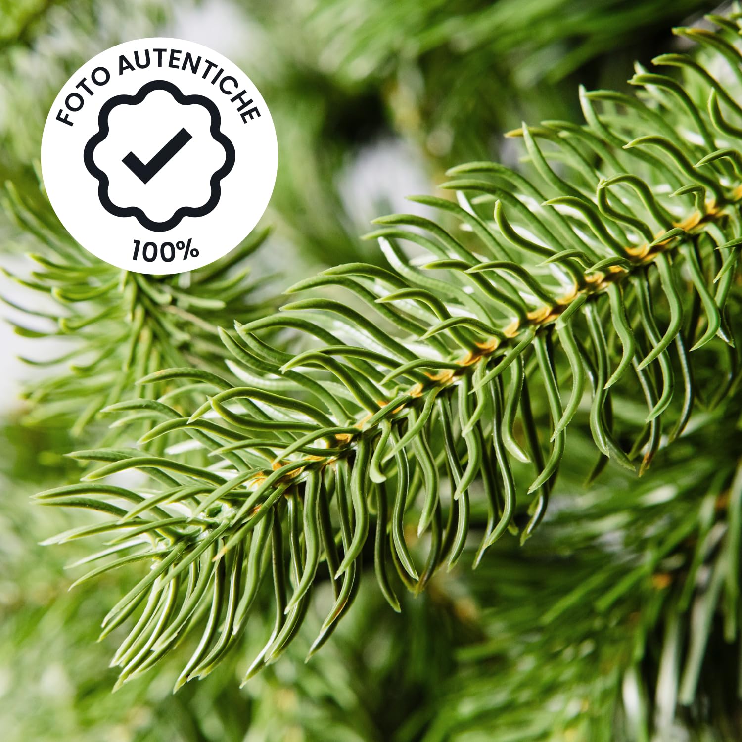 Flur - Albero di Natale Verde 240 cm in PVC Realistico, 1544 Rami Fitti, Base in Metallo Stabile, Facile da Montare e Riutilizzare, Ideale per Interni e Decorazioni Natalizie Eleganti