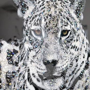 Amazon.co.jp: アートフレーム ホワイトジャガー 絵画 クリスタル Amazon.co.jp: アートフレーム ホワイトジャガー 絵画 クリスタル