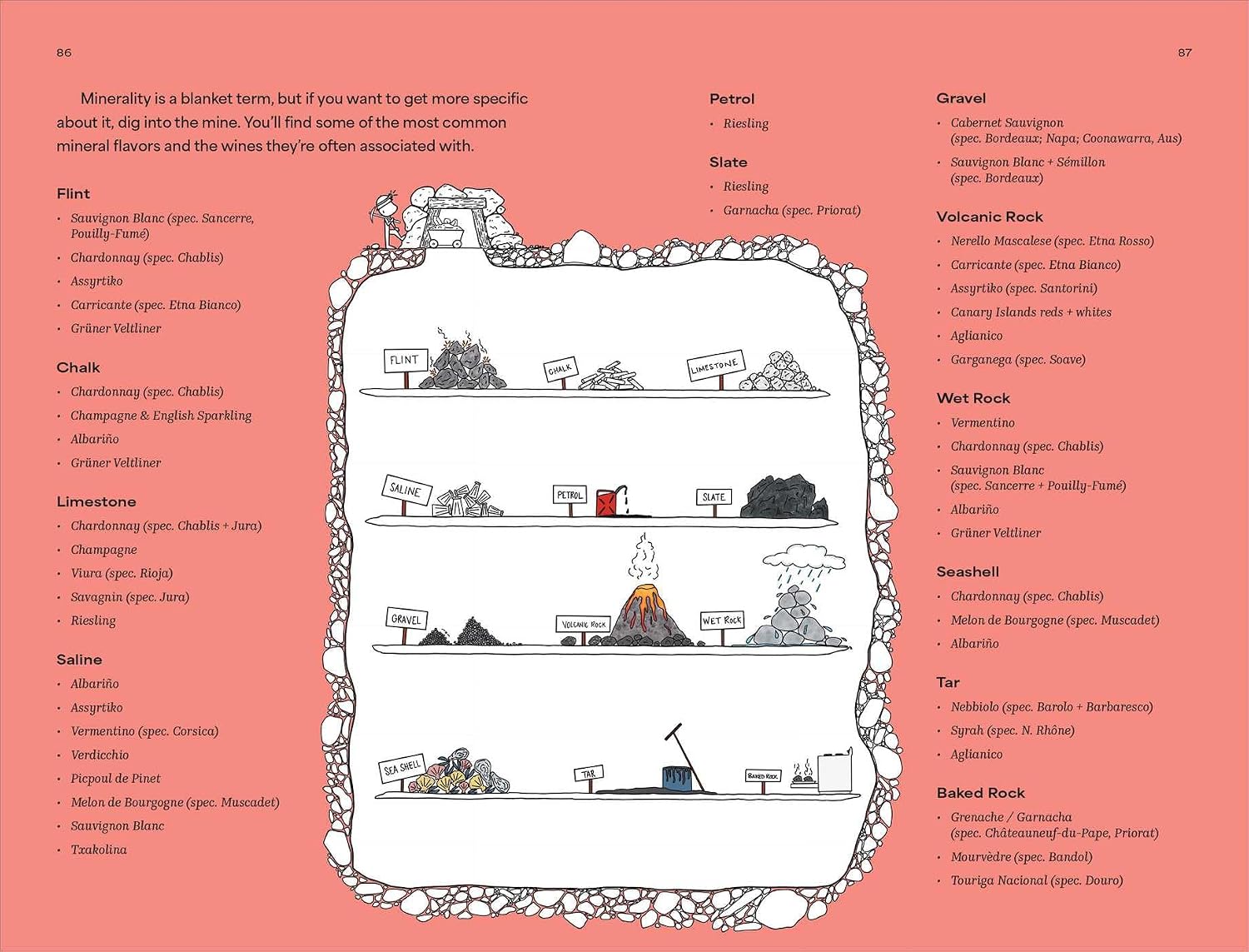 How to Sound Wine Smart: An Illustrated Guide