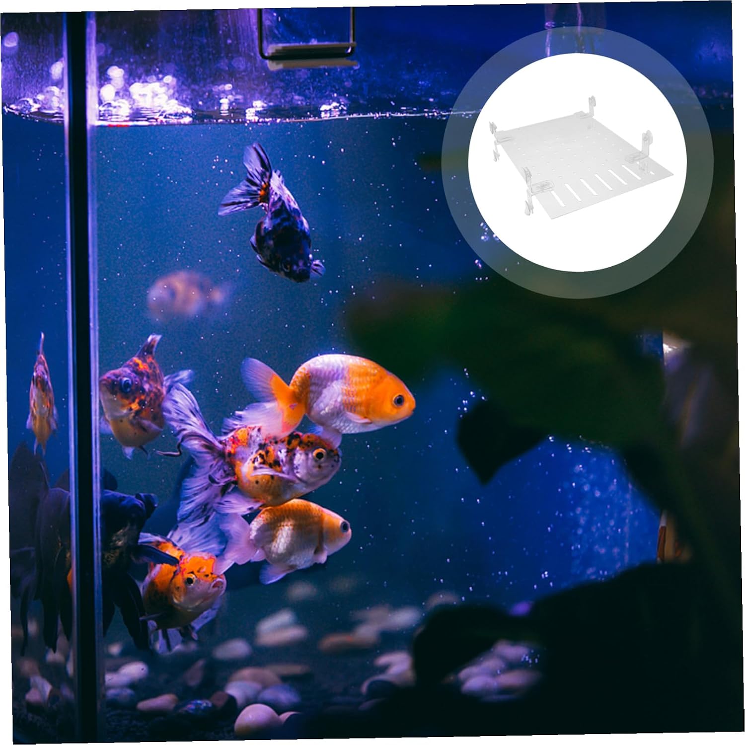 YARNOW Transparent Acrylic Aquarium Divider Panel with Suction Cups Isolation Board for Fish Separation in Home Tanks Pet Stores and Aquatic Exhibits Easy Installation and Warp-Resistant