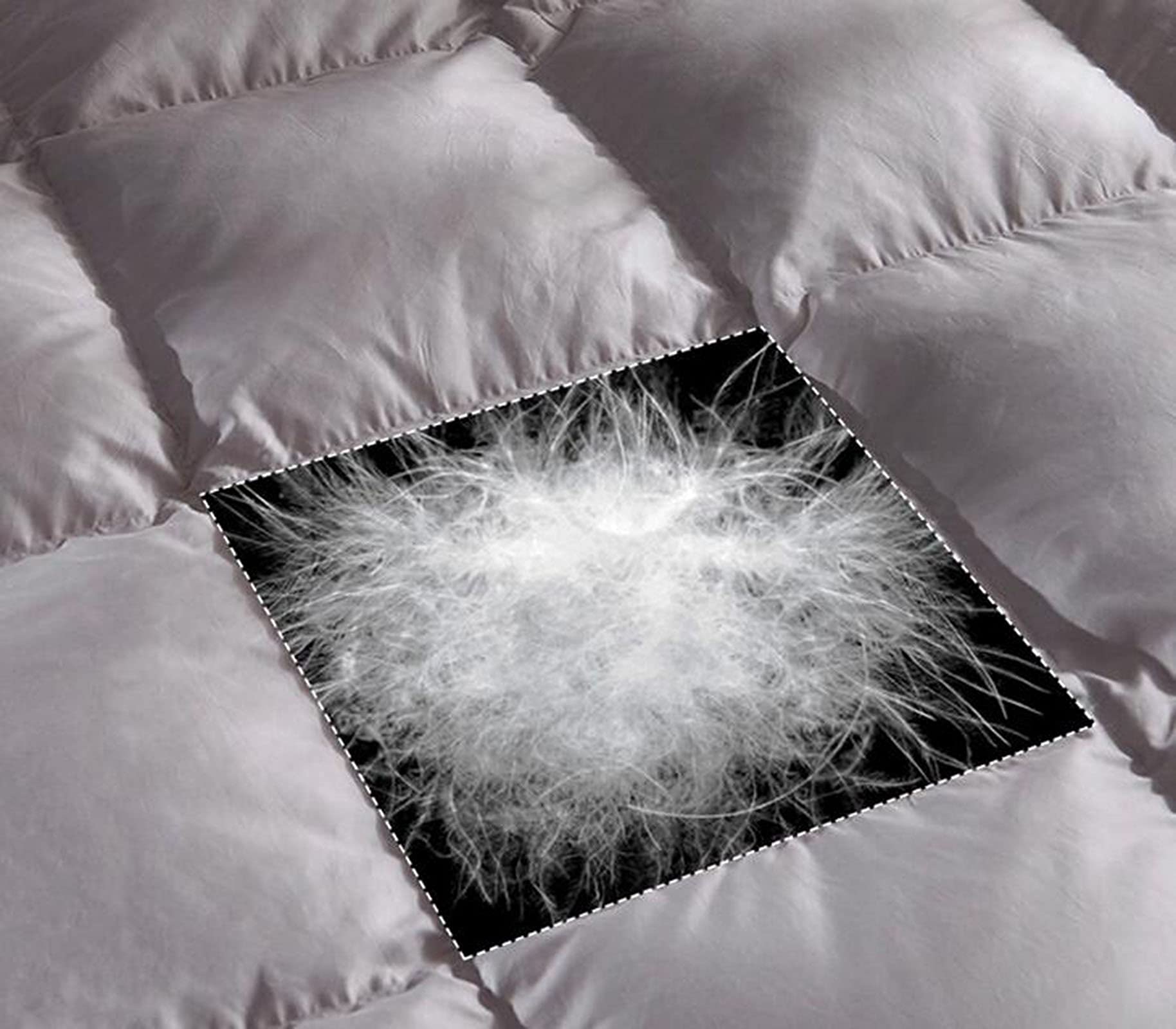 Nucleo Trapunta Piumino Trapunta Invernale 95% Piumino D'Anatra Bianca Trapunta Doppia Trapunta Piumino D'Anatra Ispessito Biancheria da Letto Tessili per la casa Regali aziendali Piumino