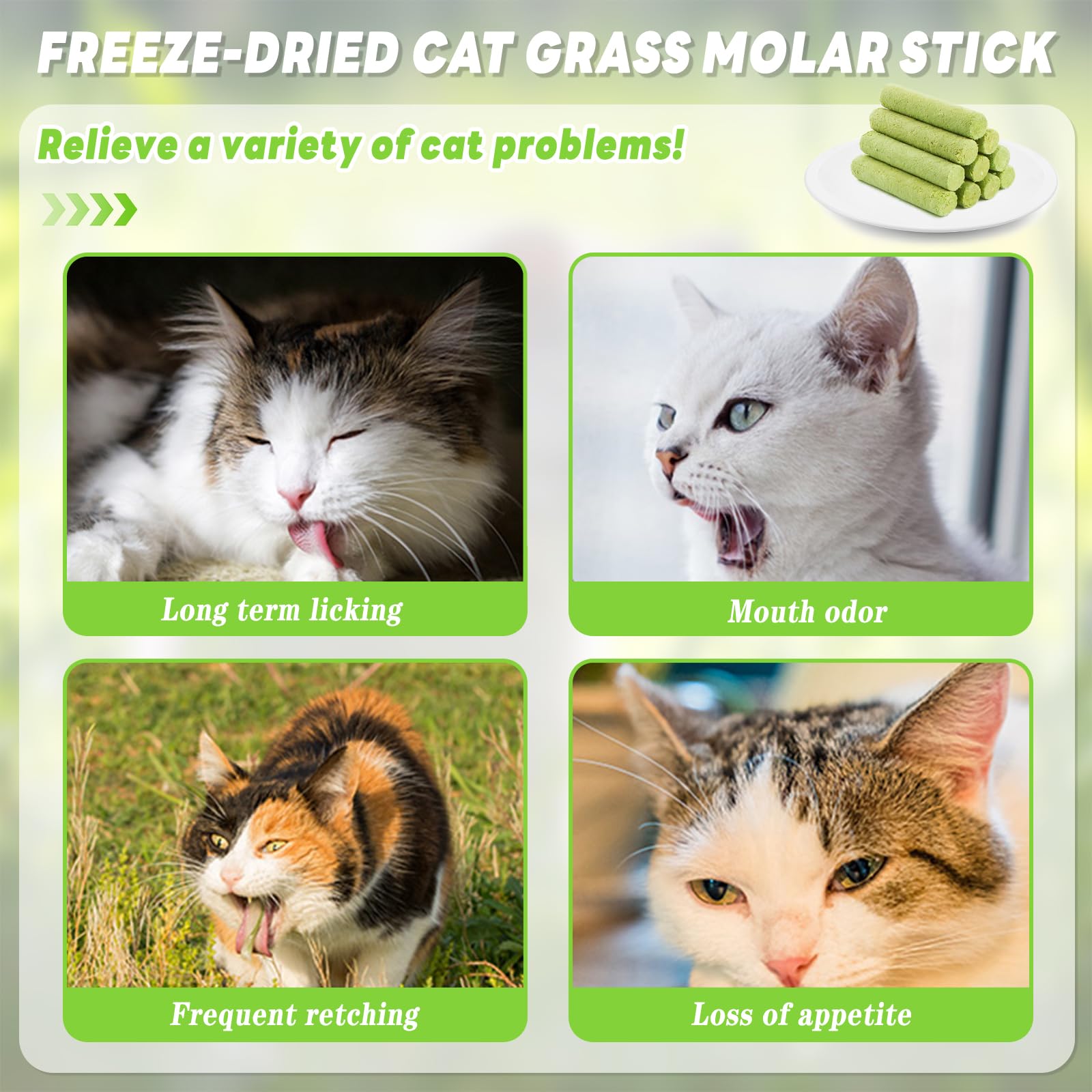 Bastoncini di Erba Gatta, 12 Pcs Stick Gatto Snack, Snack Liofilizzato con Erba Gatta per la Pulizia dei Denti, Promuovere l'assorbimento dei Nutrienti e Migliorare la Digestione