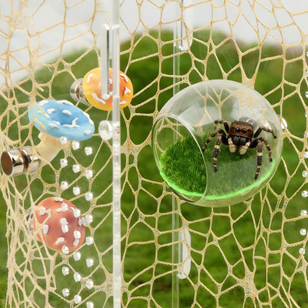 Jumping Spiders Hide Accessories, Glass Ball Hide Habitat Mushroom Platform, Small Spiders Enclosure Accessories with Artificial Grass and Nets for Climbing Resting