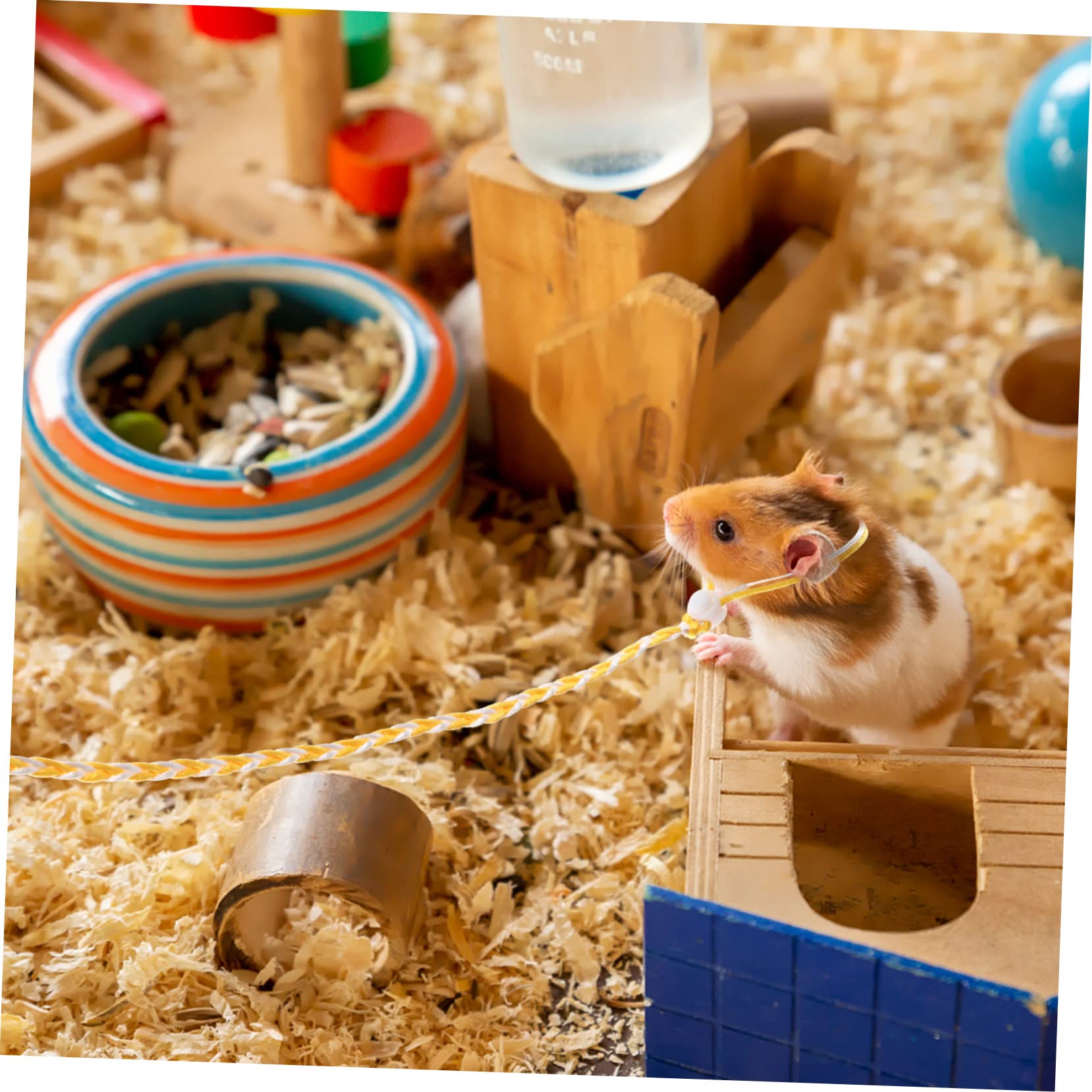 BESPORTBLE 4sets Hamster Harness Easy to Clean Fashionable and Durable Outdoor Rabbit Leash 3pcs*4