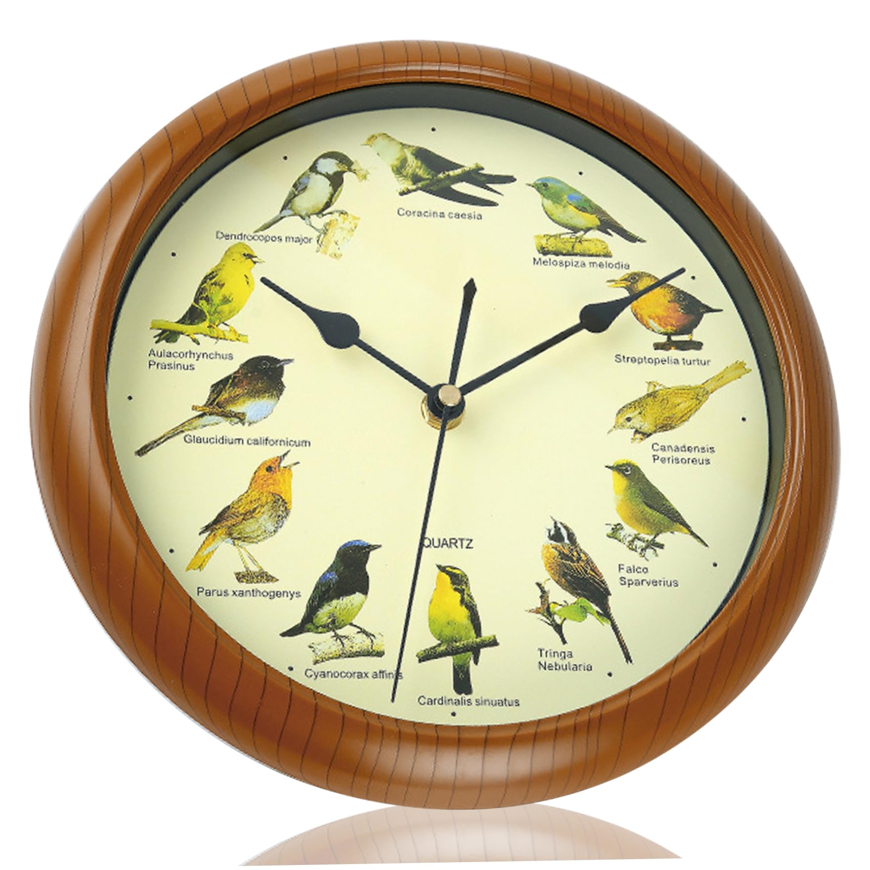 Horloge murale oiseaux 10 pouces pour salon et bureau chaleureux