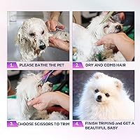 Vista 7 de Gimars - Juego de tijeras profesionales para el aseo de perros 4CR con punta redonda de seguridad, 5 en 1, con revestimiento de titanio resistente