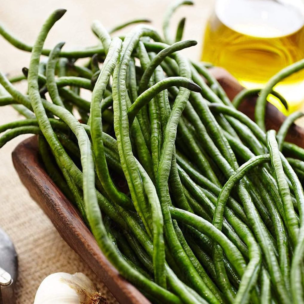 Dark Green Yard Long Bean Seeds - 60+ Count - for 2025 Planting Vining Vegetable Asparagus Asian Green Pole Bean Cowpea Edamame Japanese Chinese Korean Grow Your Own Home Farm Patio