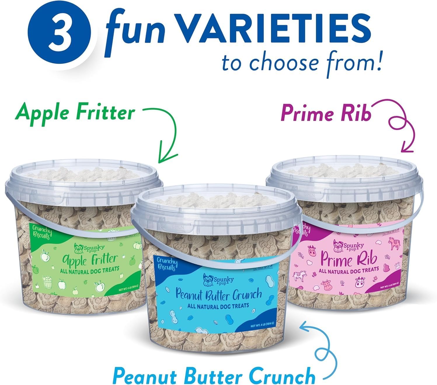 Spunky pup Every Day Biscuit Dog Treats - All-Natural, Handmade in USA, Perfect for Training or Snacking, 4 lb Resealable Bucket- Bucket of Biscuits- Peanut Butter Flavor
