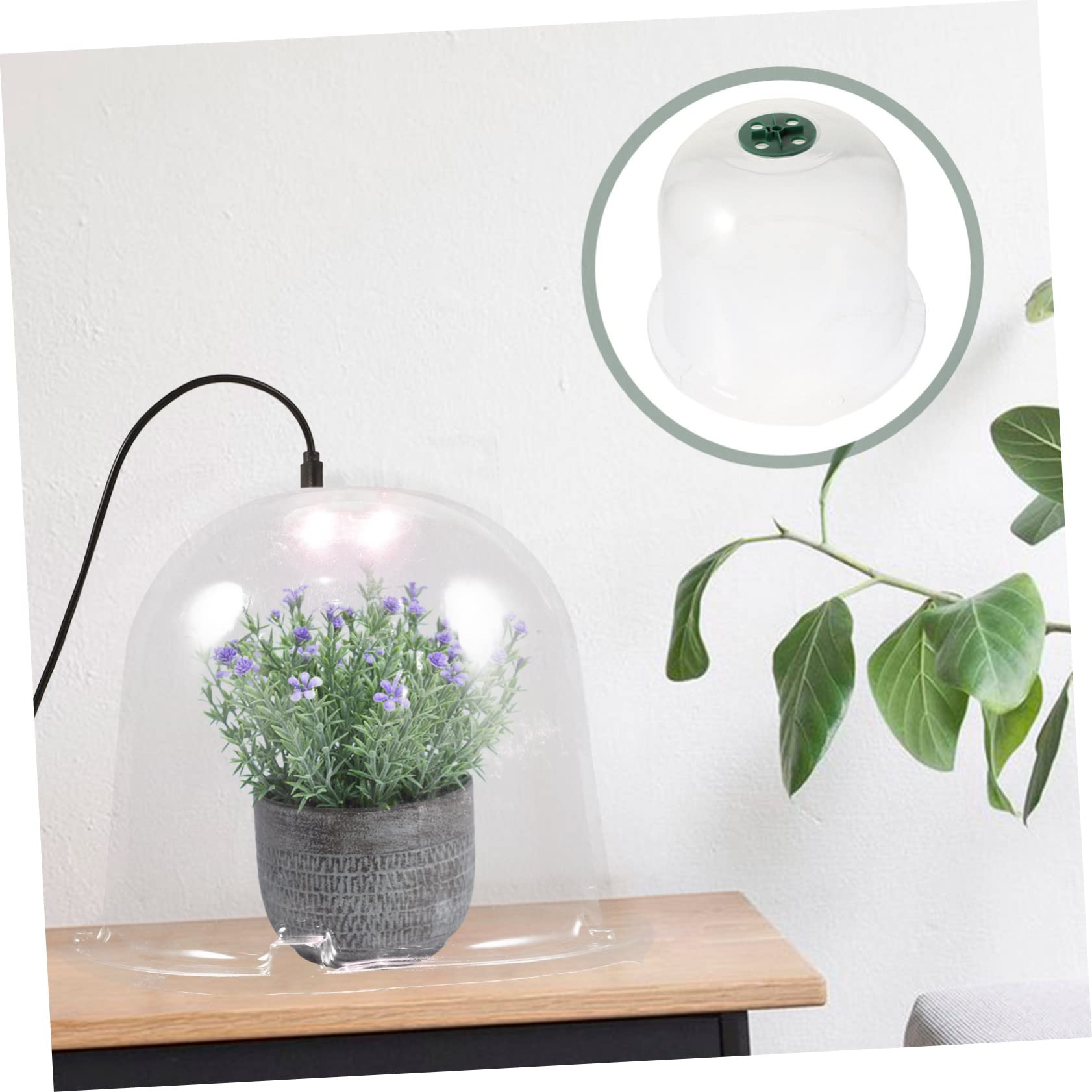 Toyvian 5 Stück Pflanzen Pet Teiliges für Pflanzenpflege Transparente Abdeckung für Kübelpflanzen Winterschutz für Kleine und Mittlere Pflanzen