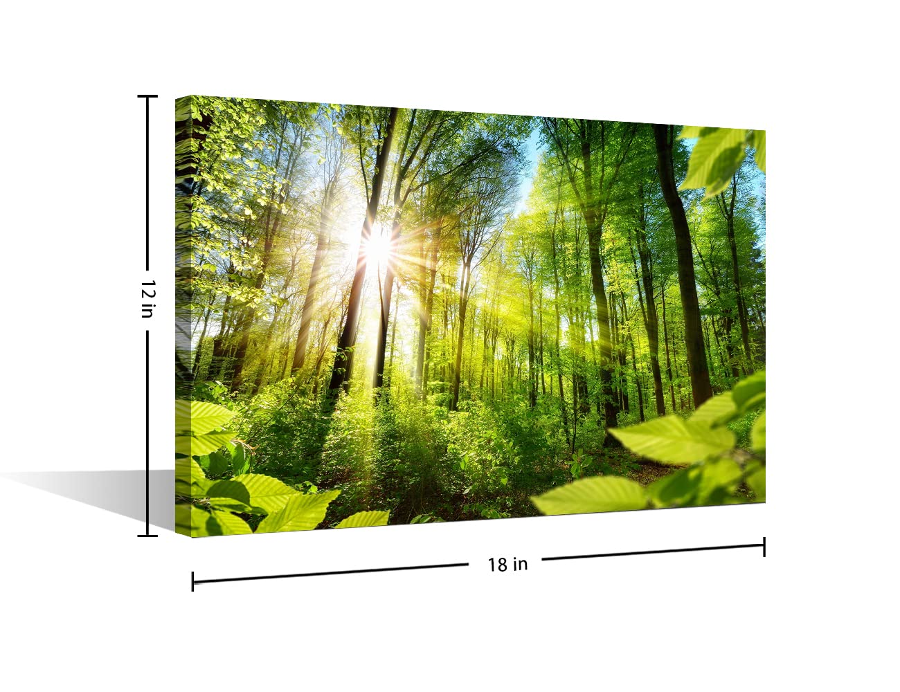 TISHIRON Autumn Natural Scenery Golden Leaves Canvas Art Wall Decor Artwork Pictures Wall Art for Canvas Wall Decor for Living Room Bedroom Office Posters Prints Framed Ready to Hang - Image 2