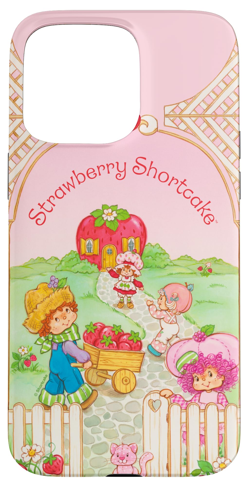 Strawberry Shortcake Cute Friends Vintage Retro Logo Case for iPhone 15 Pro Max