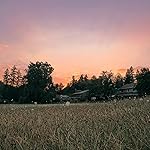 Review Image by Tony Tony