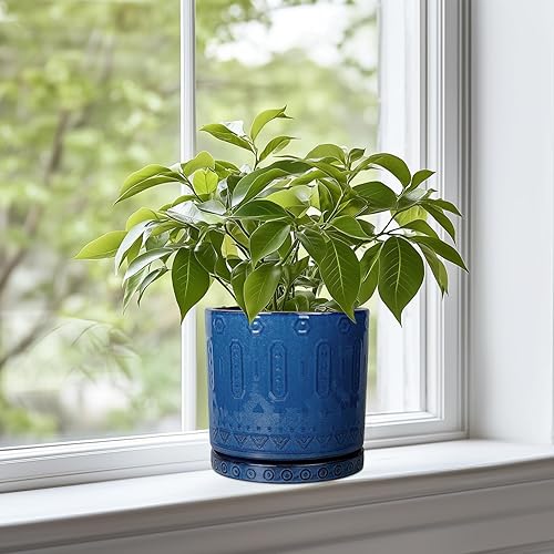 Miniatura 2 de Maceta de cerámica de 6 pulgadas para plantas de exterior, maceta de interior con agujeros de drenaje y platillo para suculentas, maceta redonda