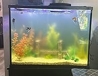 Review Image by Amazon Customer Amazon Customer