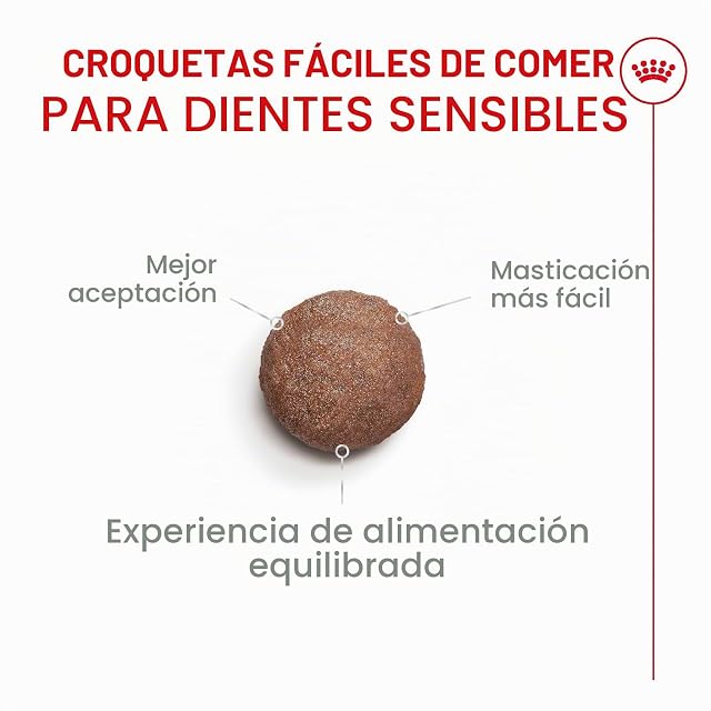 Foto 4 de 8 de ROYAL CANIN AGEING 11+