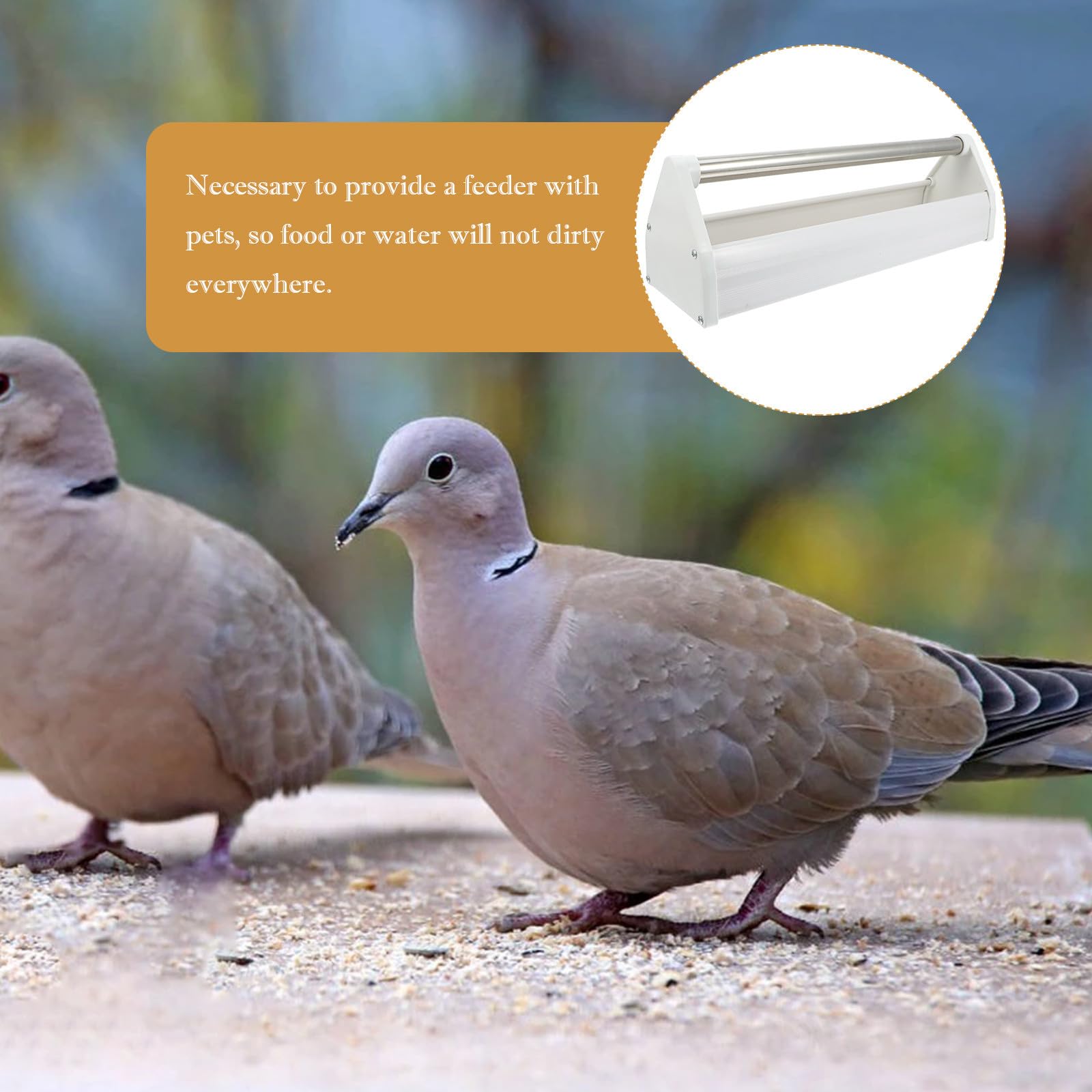 Mangeoire Anti-déversement Robuste et Facile à Nettoyer pour en Acier Inoxydable Blanc, Mangeoire Pratique pour Oiseaux D'intérieur et Parcs