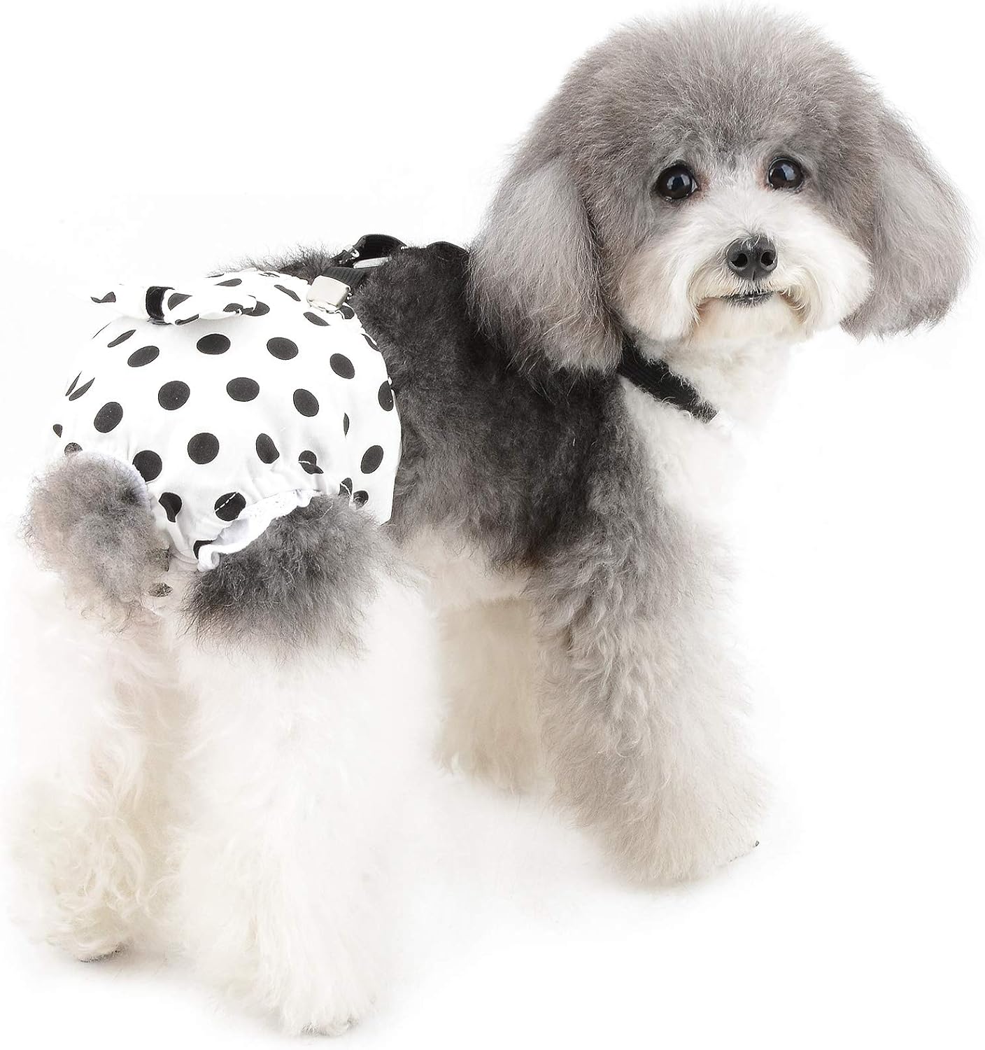 Cutebone 犬 雌犬 お出掛け パンツ おむつカバー 生理 ミス 布