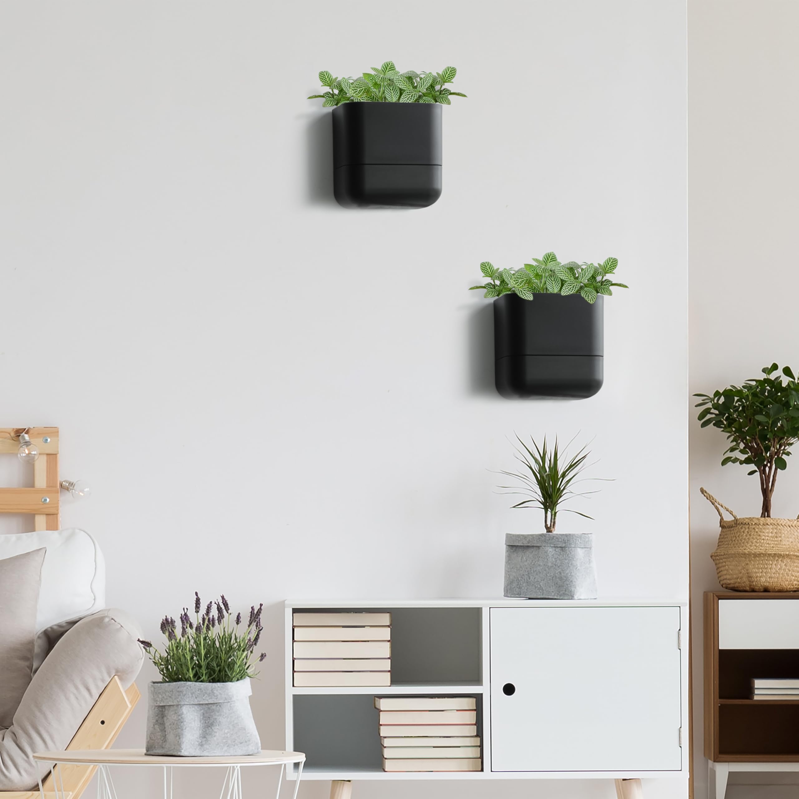 Phoenix Vine 6.5-Inch Wall Mounted Self-Watering Planter – Set Of 3, Black, For Indoor Plants & Herbs