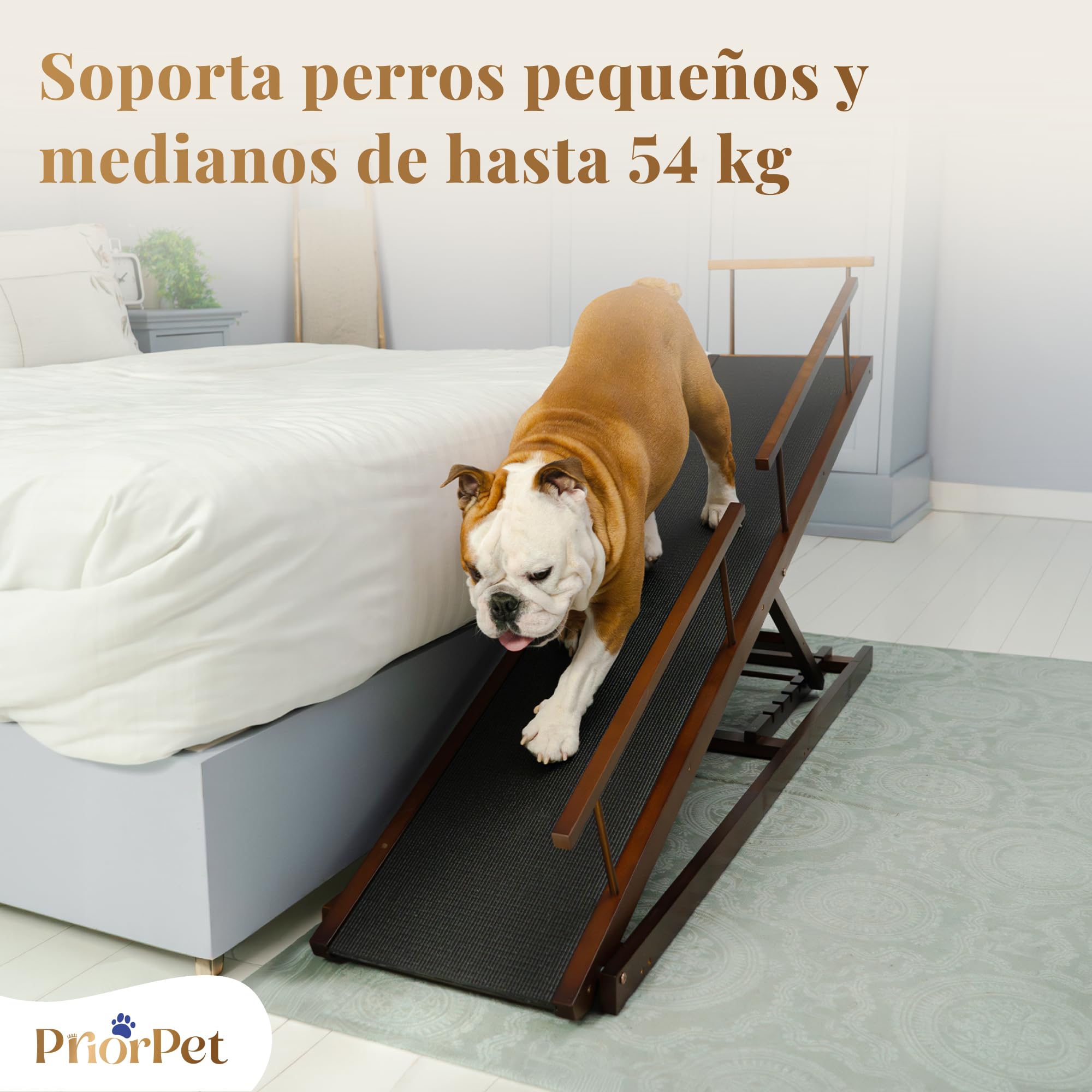 Rampa para Perros para Cama con Rieles de Seguridad PRIORPET - Madera de Abedul - Ajustable - para Camas Altas de hasta 94.5 cm - Plegable - Agarre Antideslizante - para Perros de hasta 23kg - Nuez