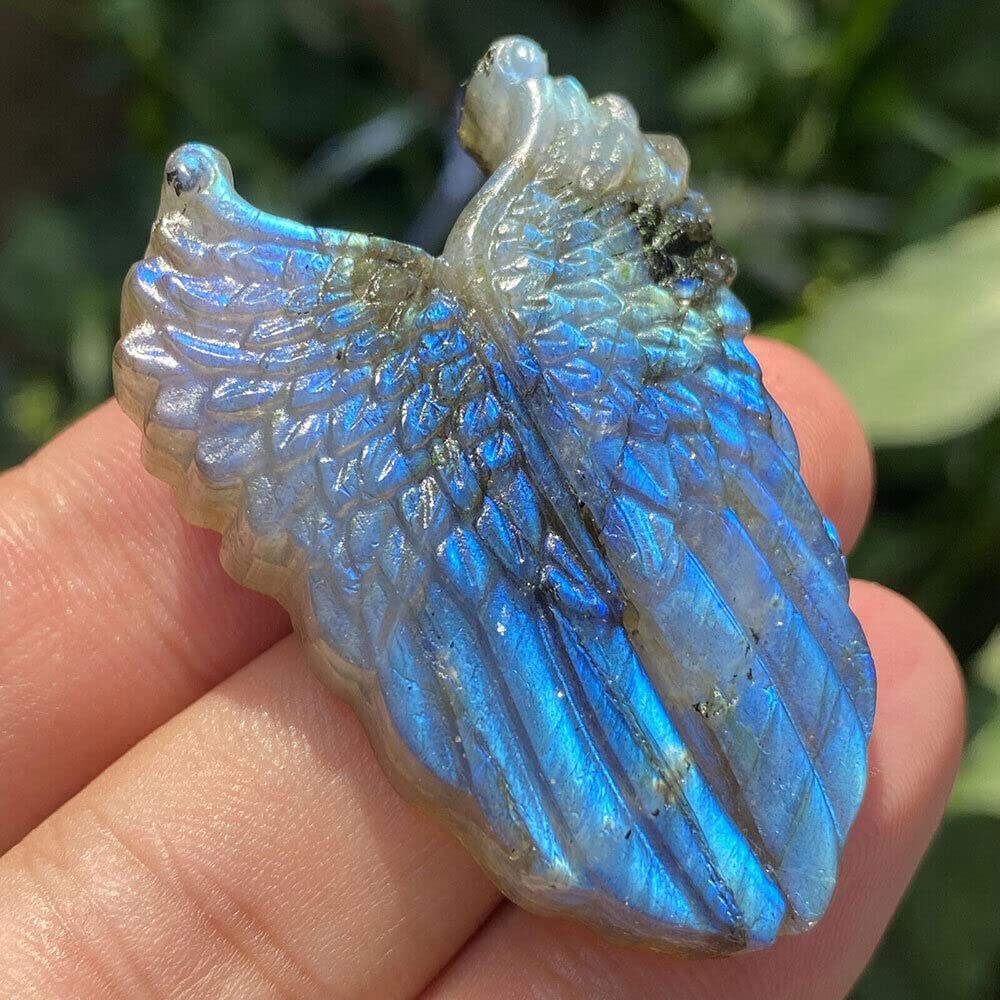 Amazon.com: 1PC Natural Labradorite Hand Carved The Wing Skull