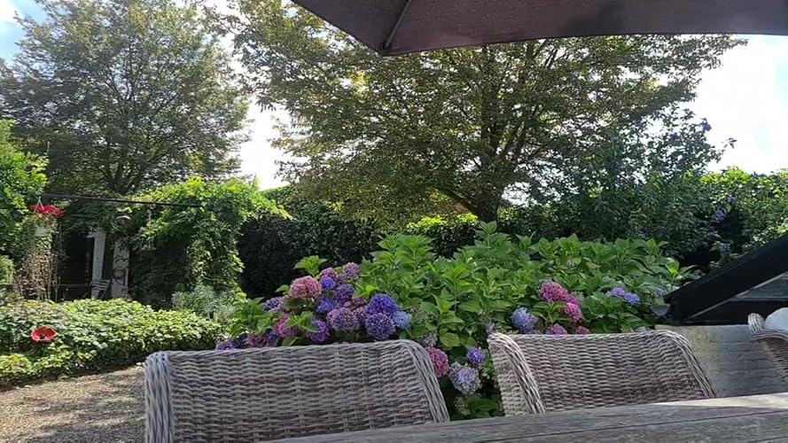 Sol-éco Pure Tungolie | Bescherming En Onderhoud Van Hout Binnenshuis Buitenshuis Contact Met Voedingsmiddelen Tuinmeubelen Werkbladen Terrassen Keukens Snijplanken Teak Parket 5l Sol-éco Pure Tungolie | Bescherming En Onderhoud Van Hout Binnenshuis Buitenshuis Contact Met Voedingsmiddelen Tuinmeubelen Werkbladen Terrassen Keukens Snijplanken Teak Parket 5l