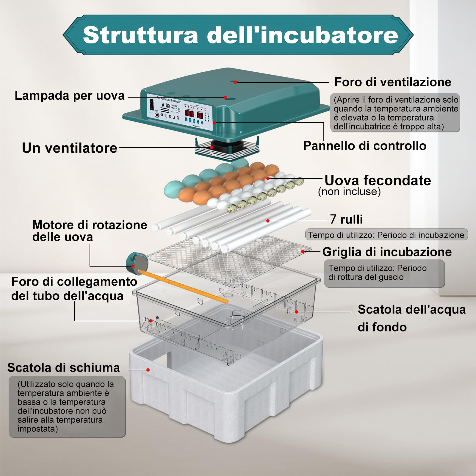 CoInceptus Incubatrice per Uova Automatica, Incubatrice da 24-36 Uova con Tornitura Automatica delle Uova e Umidificazione Automatica, Incubatrice per Uova di Gallina, Quaglia, Anatra
