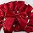 7Rainbows 20pcs Boutique 4.5 Red Satin Ribbon Bows for Craft Sewing Scrapbooking Wedding and Gift Wrapping
