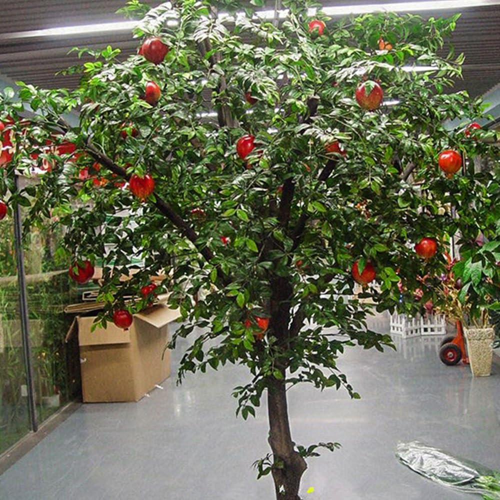 Large-Size Artificial Pomegranate Tree, Sturdy Metal Base Faux Fruit, Ornamental Simulation for Supermarket Area & Wedding Scene Layout(6mx5m)